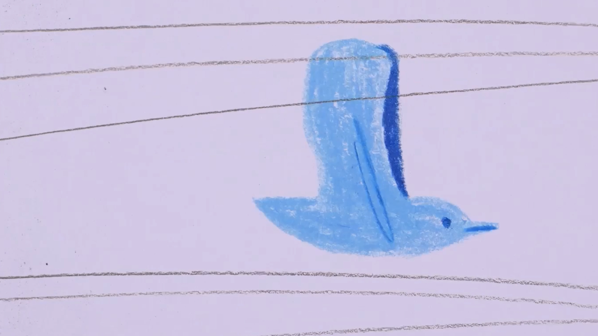 Операція «Анімація»