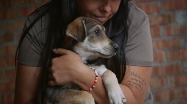 Ми, наші улюбленці та війна