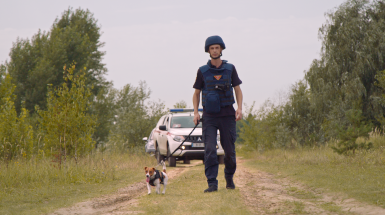 Ми, наші улюбленці та війна