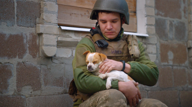 Ми, наші улюбленці та війна