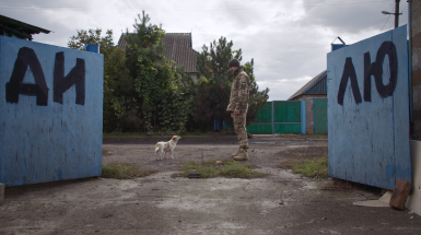 Ми, наші улюбленці та війна