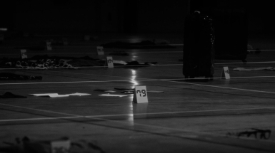 Залізні метелики