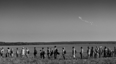 Залізні метелики