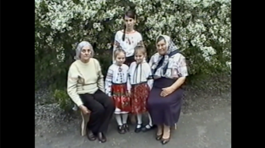 Ліс