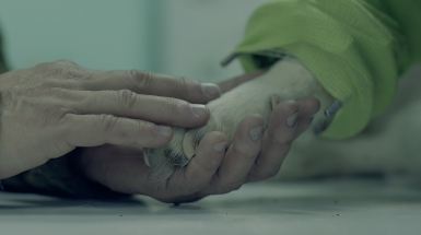 everything needs to live