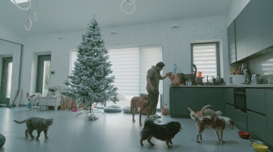 everything needs to live