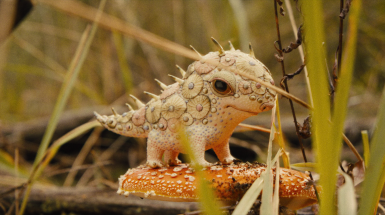 ПОРЦЕЛЯНОВА ВІЙНА