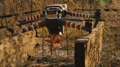 Порцелянова війна