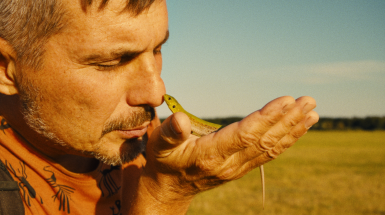 Порцелянова війна