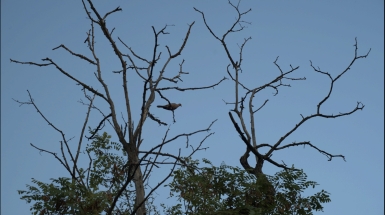 A Poem for Little People