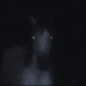 Profile picture for user 12840