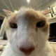 Profile picture for user 118134